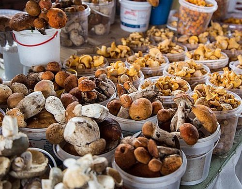 Нардепи хочуть заборонити продаж на ринках грибів непромислового виробництва Фото №4
